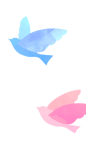 鳥の画像